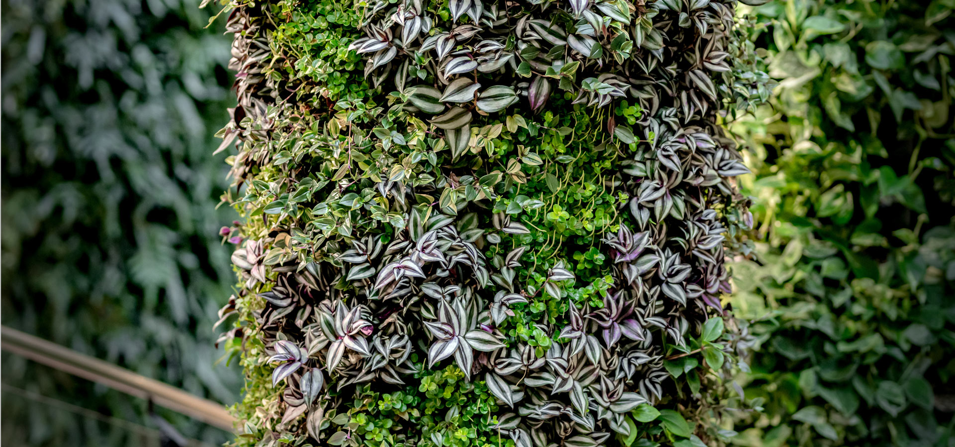 Gartenhof K�sters - Carolus Thermen