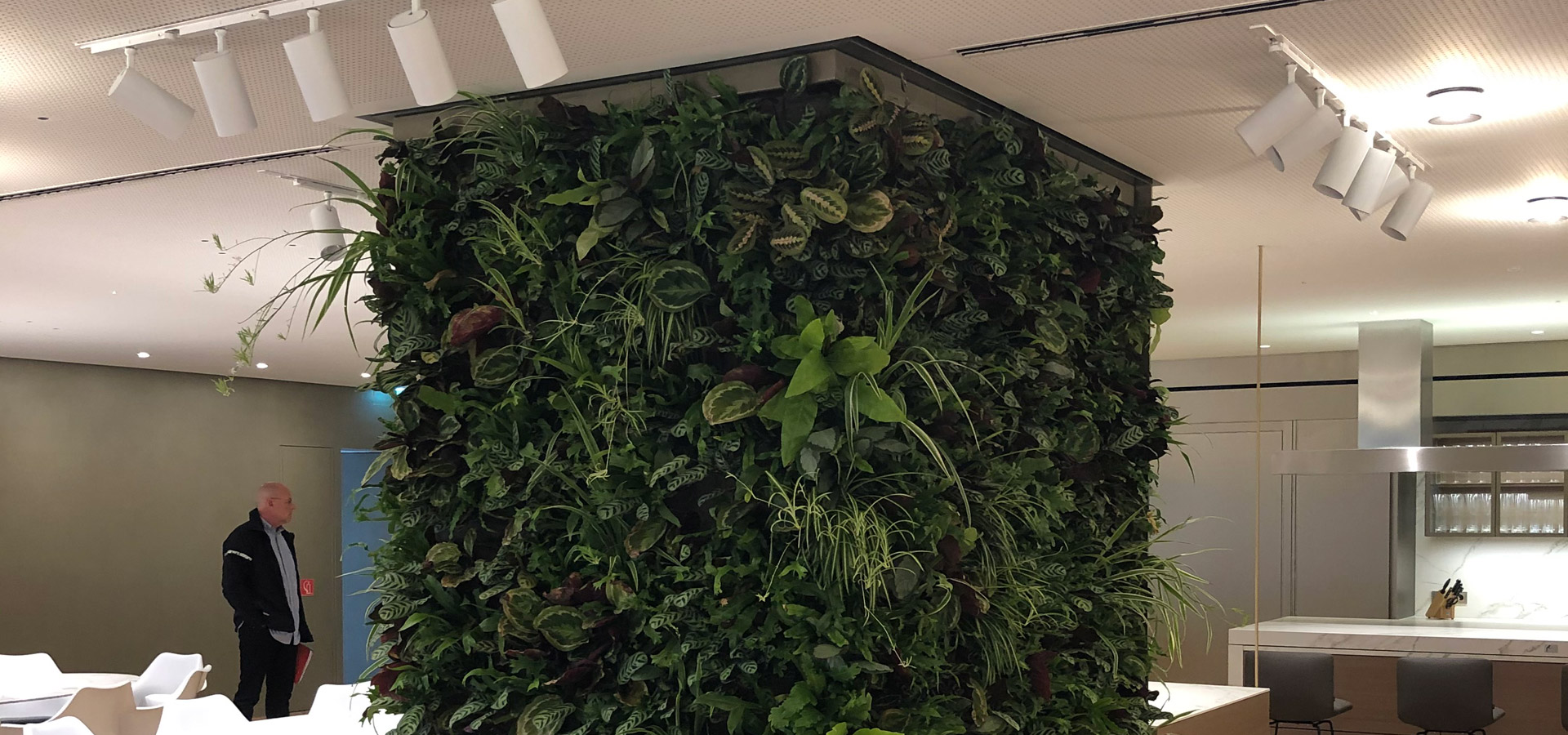 Gartenhof K�sters - Indoor-Wandbegr�nungen