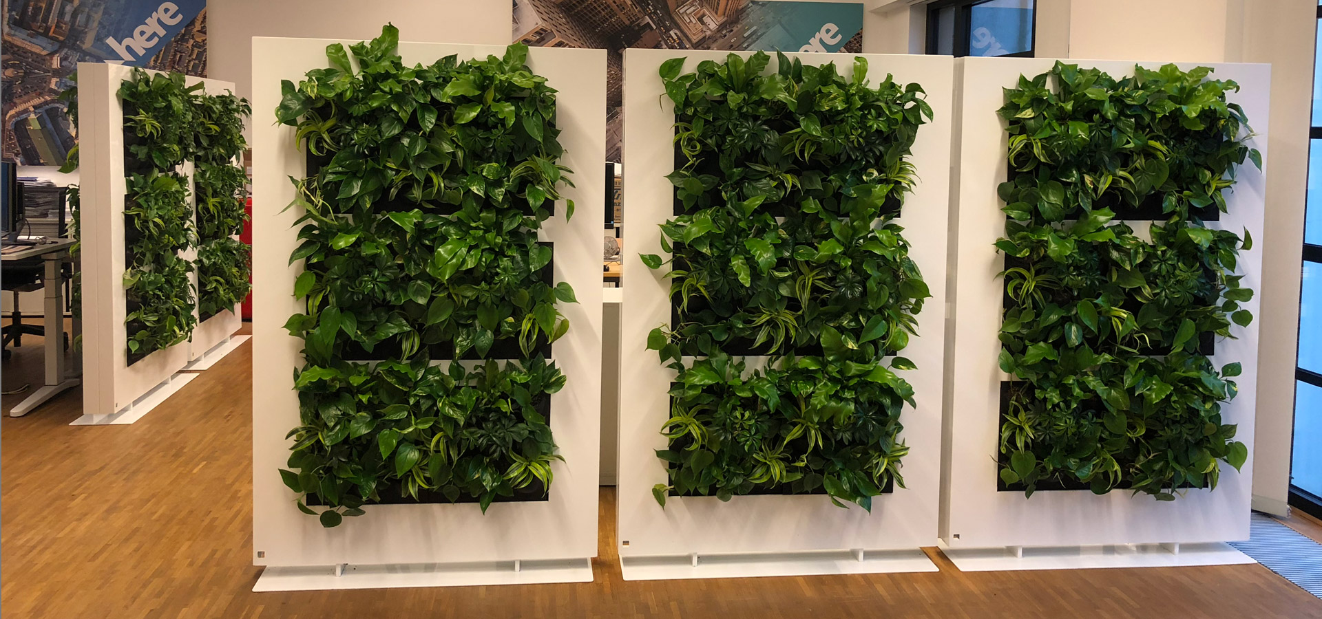 Gartenhof K�sters - Indoor-Wandbegr�nungen